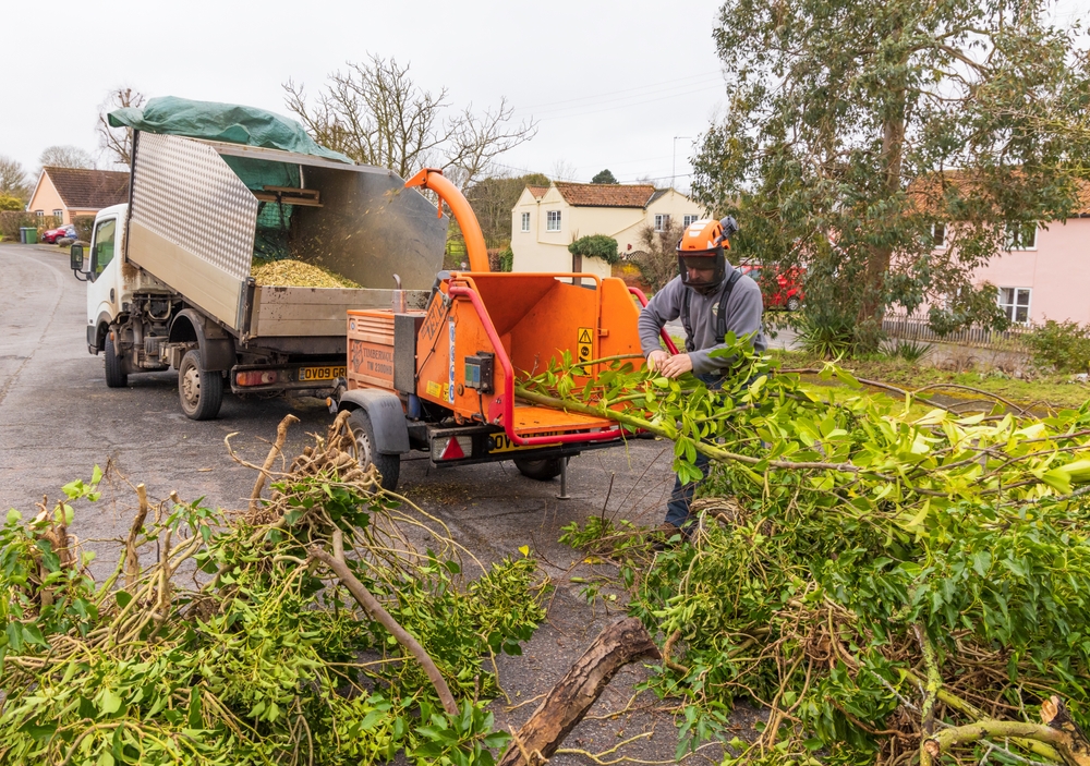 Tree Pruning in Kingswinford